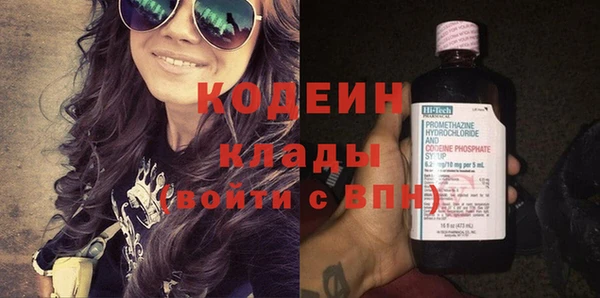 шишки Белокуриха