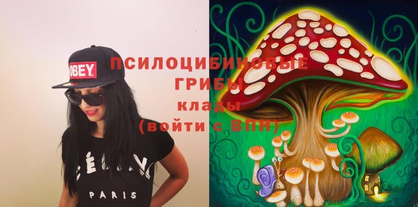 метамфетамин Данков